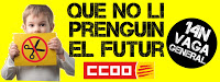 ccoo vaga 14N